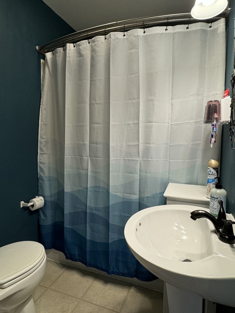 374 North Park Road Herscher, IL 60941 - Photo 10 of 16 a bathroom with a sink toilet and shower