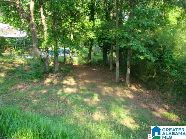 1225 Valleywood Road Oxford, AL 36203 - Photo 23 of 27