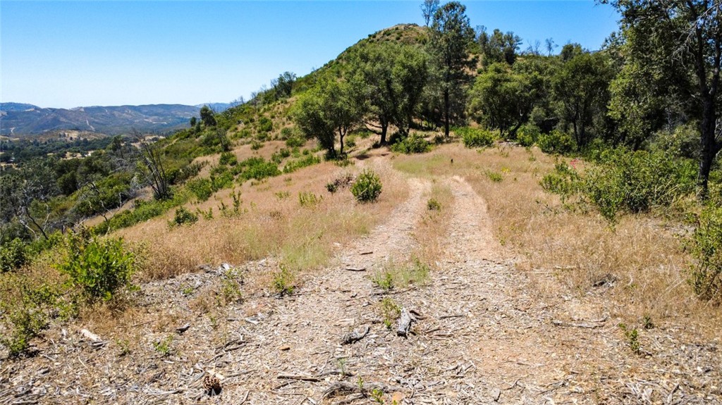 0 Bumguardner Mountain Road Mariposa, CA 95338 - Photo 4 of 36