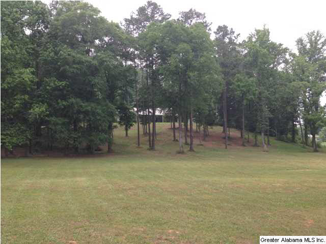 3370 Wellington Road Jacksonville, AL 36265 - Photo 28 of 29