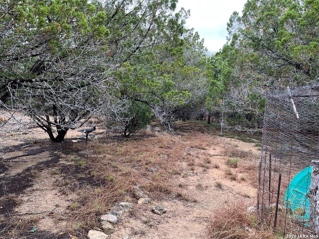522 Medina Hills Road Medina, TX 78055 - Photo 11 of 15 a view of a yard with plants and trees