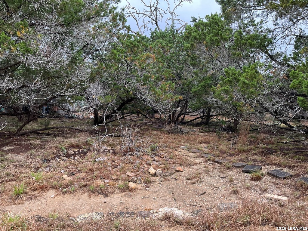 522 Medina Hills Road Medina, TX 78055 - Photo 13 of 15 a view of a yard with plants and trees