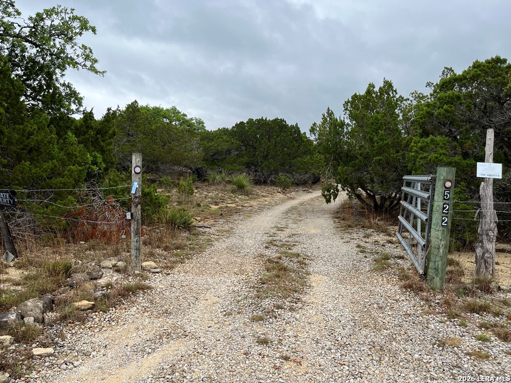 522 Medina Hills Road Medina, TX 78055 - Photo 8 of 15 a view of a forest with trees