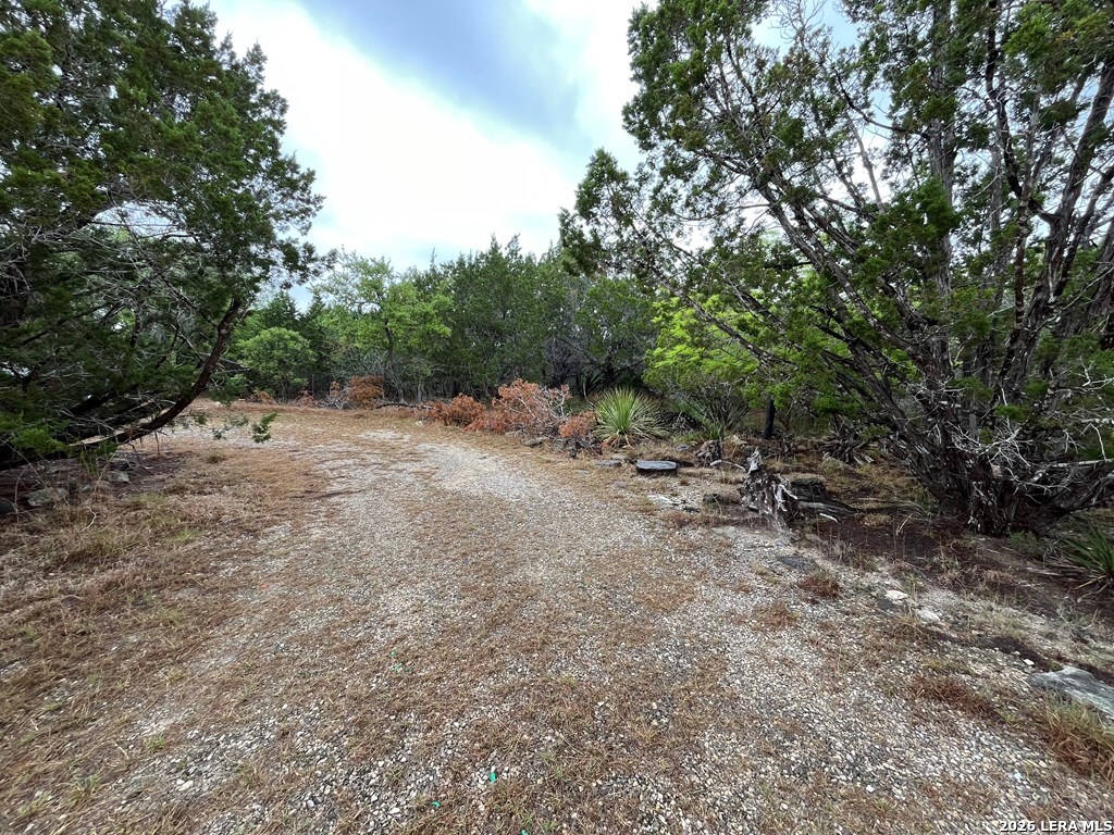 522 Medina Hills Road Medina, TX 78055 - Photo 9 of 15 a view of a dirt road with trees in the background
