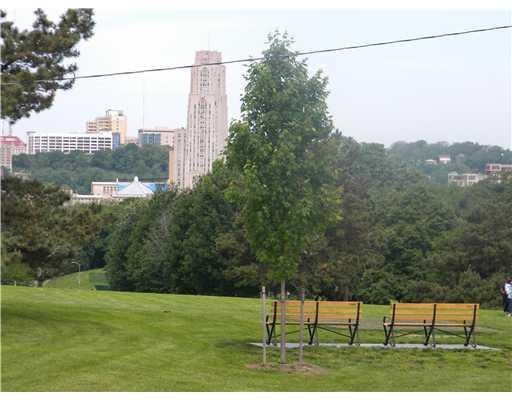 5337 Darlington Road Pittsburgh, PA 15217 - Photo 3 of 7 View.