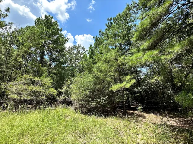 a view of a yard with a tree