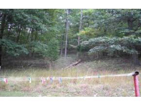 8795 South Roberts Road Bloomington, IN 47401 - Photo 14 of 16 Gallery Image 14
