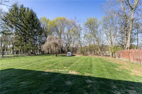 a view of a park with large trees