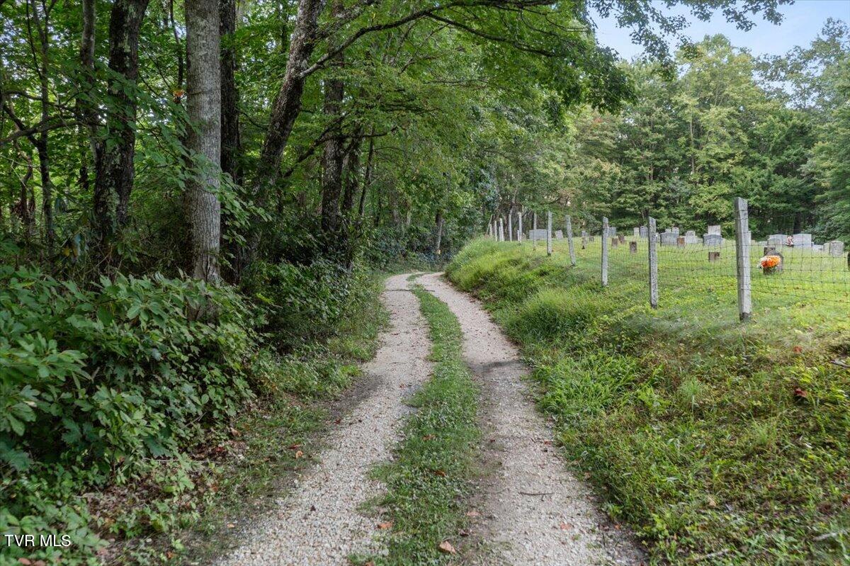 1259 Heaton Branch Road Butler, TN 37640 - Photo 1 of 20 14-DJI_0881