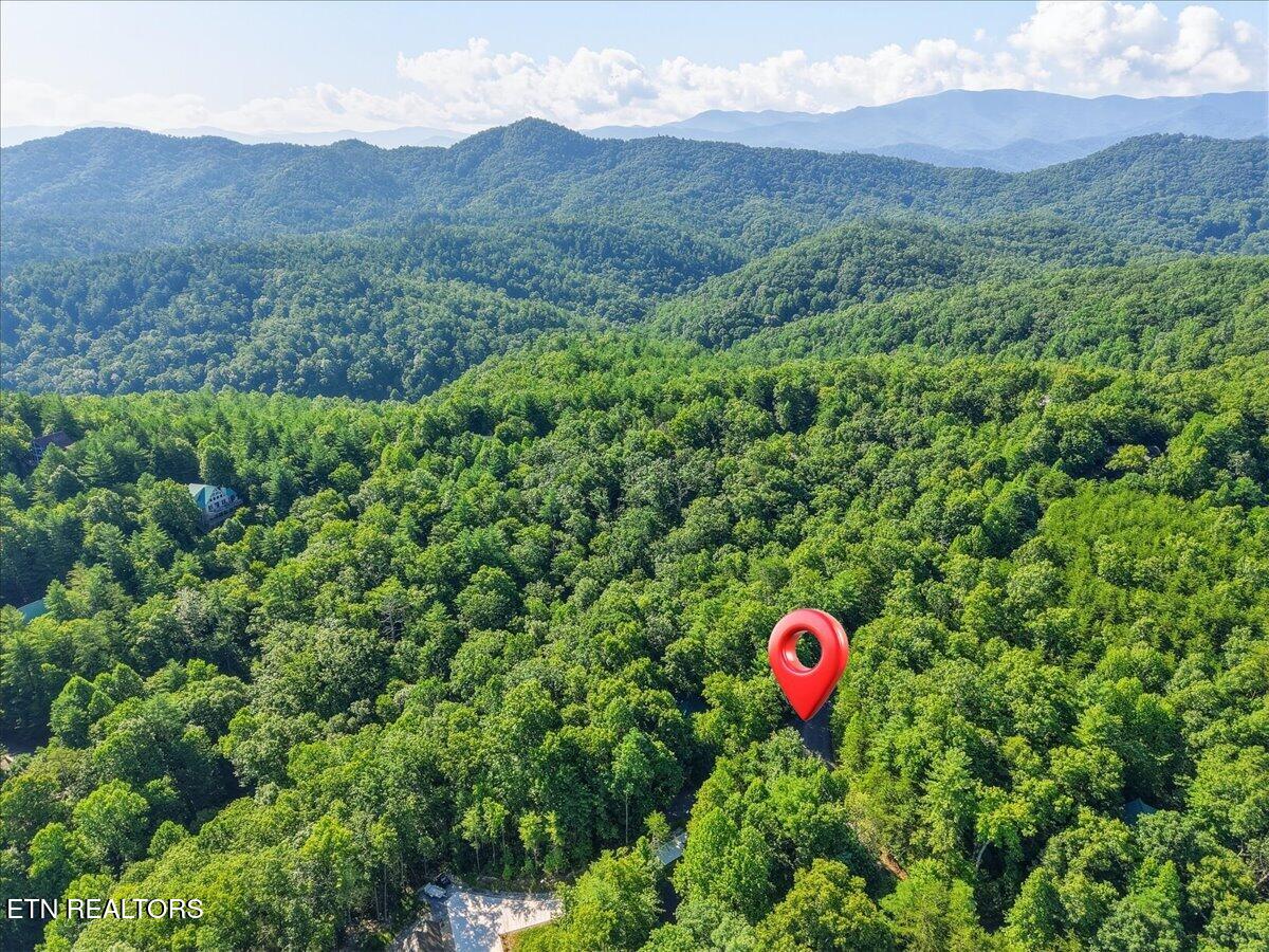 739 Stonegate Way Townsend, TN 37882 - Photo 46 of 49 46-003_DJI_20260708095646_0219_D