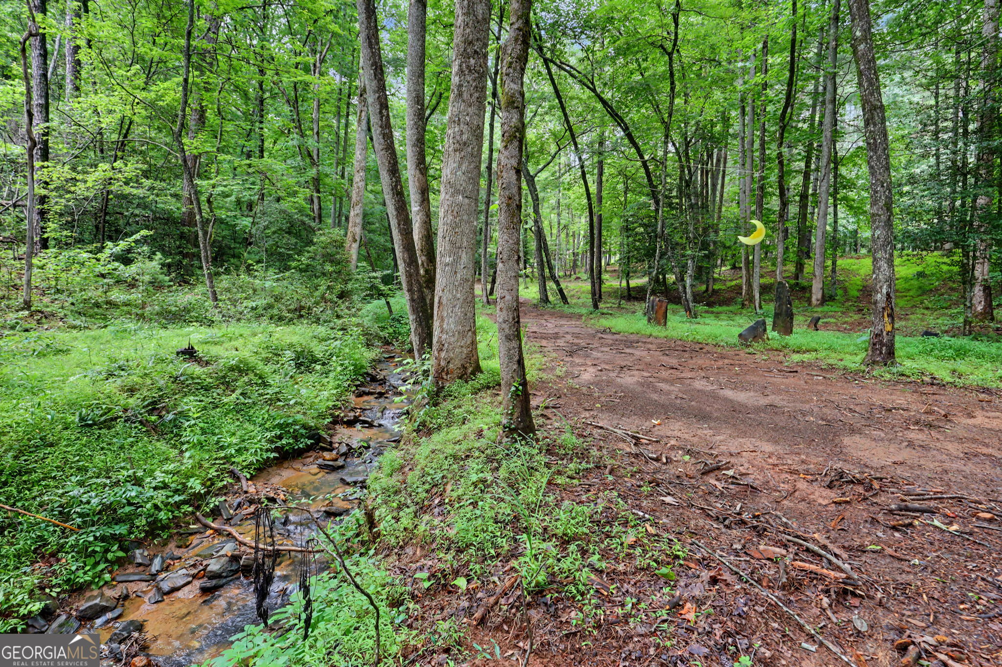 5637 Murray Cove Road Tiger, GA 30576 - Photo 55 of 67
