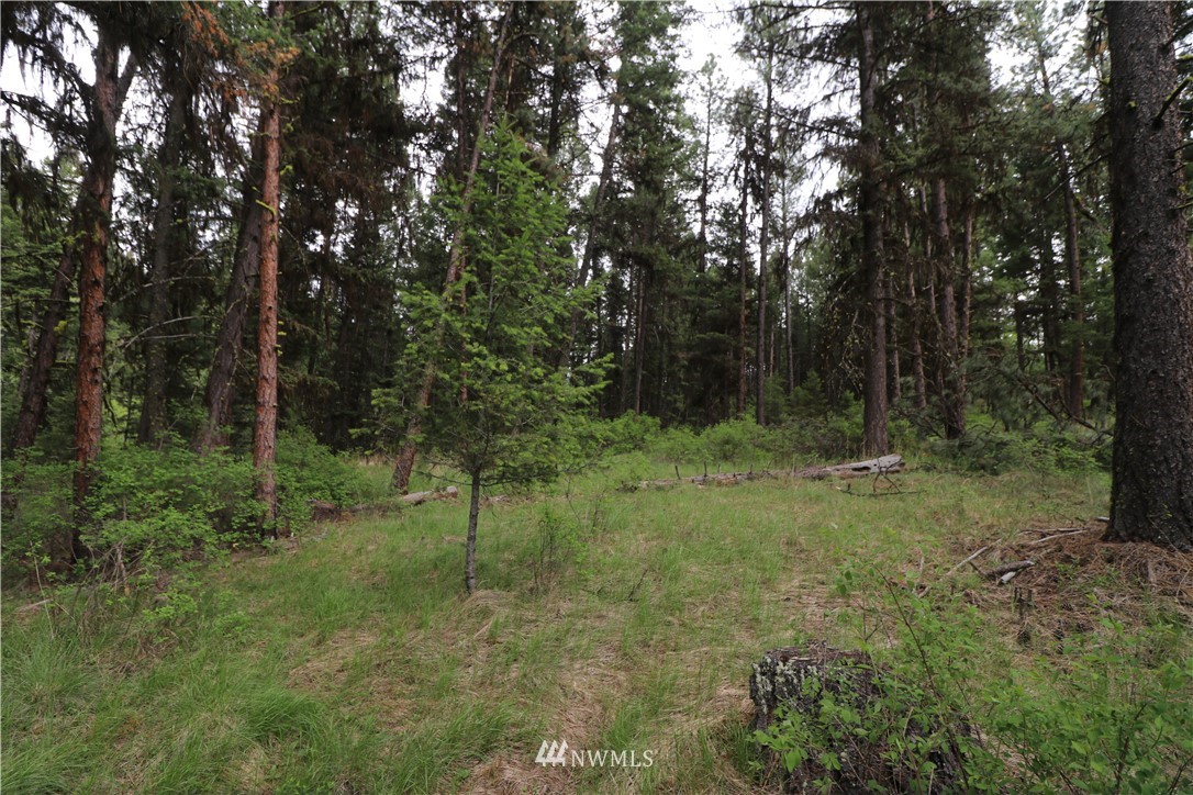 88 Pine Chee Road Oroville, WA 98844 - Photo 8 of 17