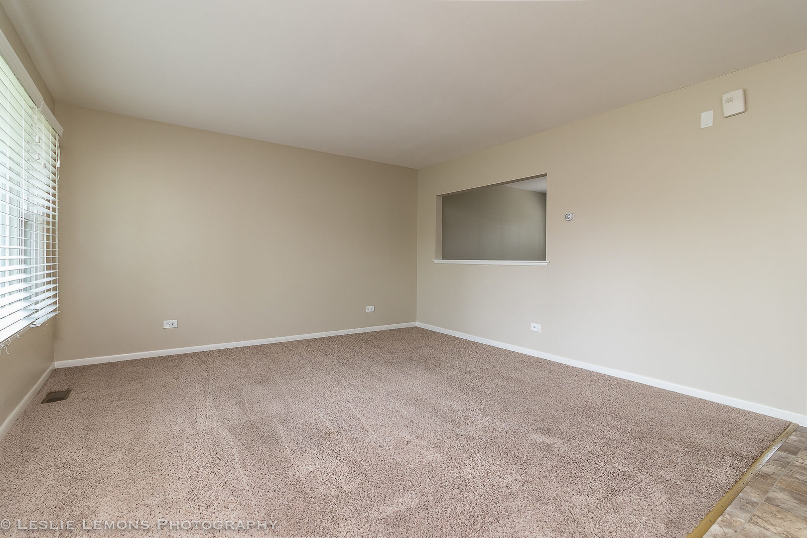 1441 Marcy Lane Wheeling, IL 60090 - Photo 4 of 28