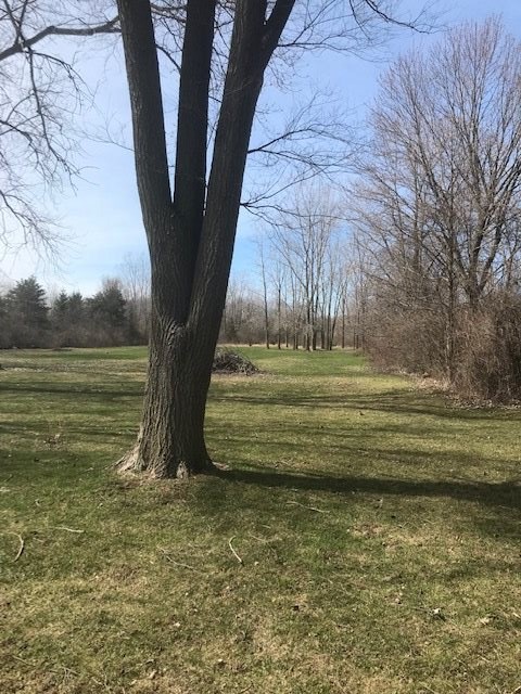 2222 Morrish Road Swartz Creek, MI 48473 - Photo 17 of 19