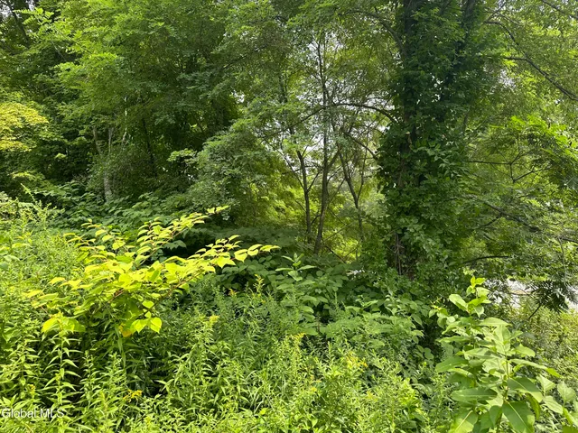 $69,000 | L41 State Route 149, Lake George, NY 12845