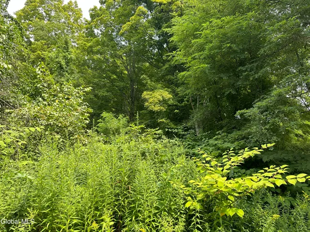 $69,000 | L41 State Route 149, Lake George, NY 12845