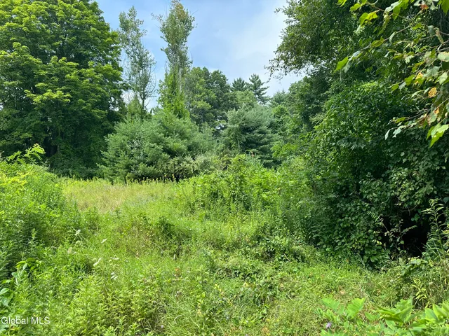 $69,000 | L41 State Route 149, Lake George, NY 12845