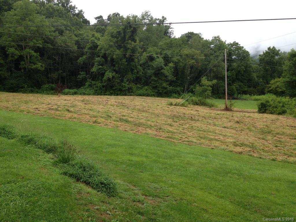 9999 Wilson Cove Road Canton, NC 28716 - Photo 1 of 21