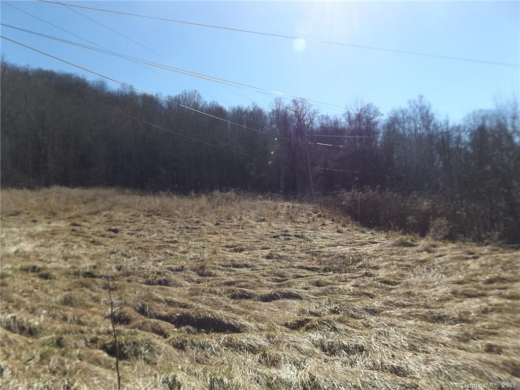 9999 Wilson Cove Road Canton, NC 28716 - Photo 2 of 21