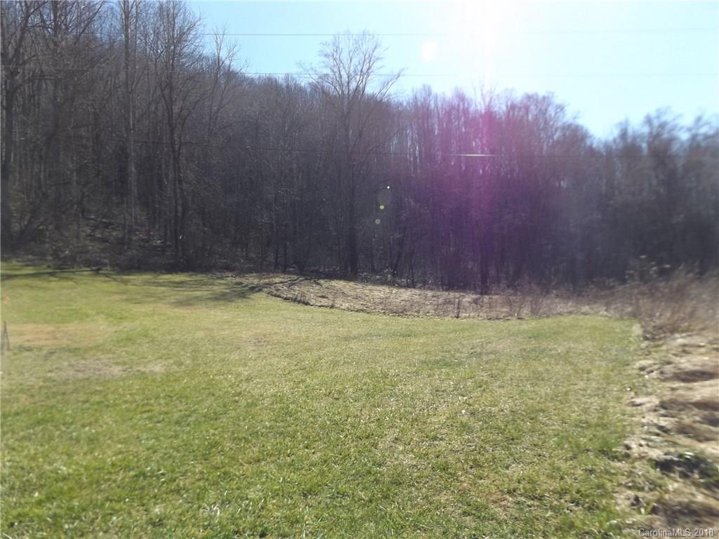 9999 Wilson Cove Road Canton, NC 28716 - Photo 11 of 21