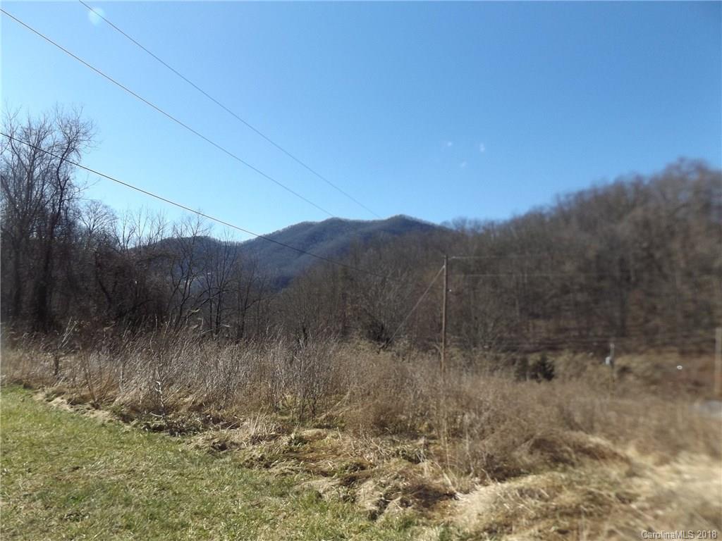 9999 Wilson Cove Road Canton, NC 28716 - Photo 12 of 21