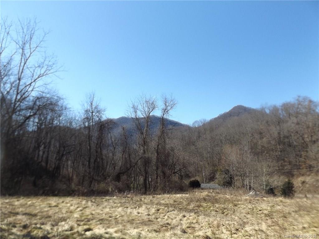 9999 Wilson Cove Road Canton, NC 28716 - Photo 14 of 21