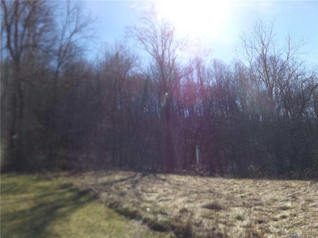 9999 Wilson Cove Road Canton, NC 28716 - Photo 15 of 21