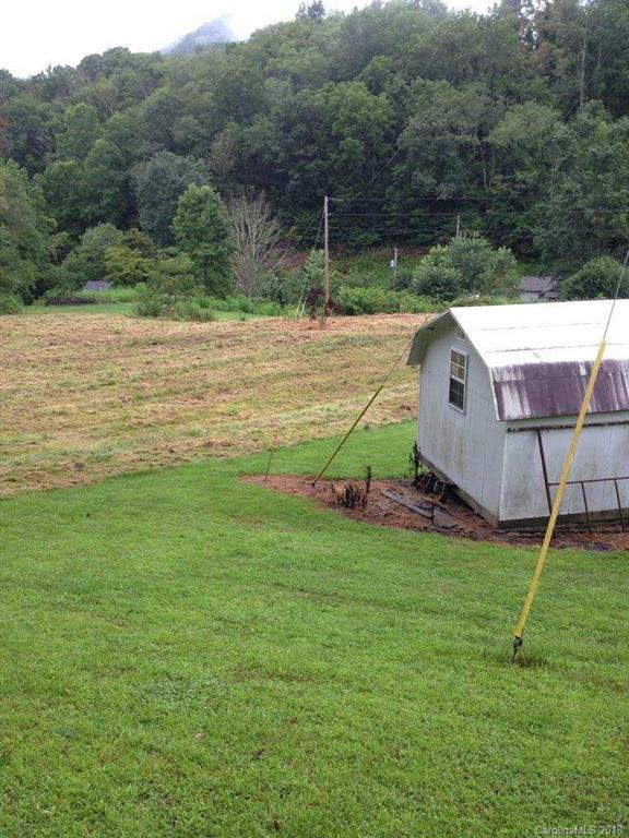 9999 Wilson Cove Road Canton, NC 28716 - Photo 18 of 21