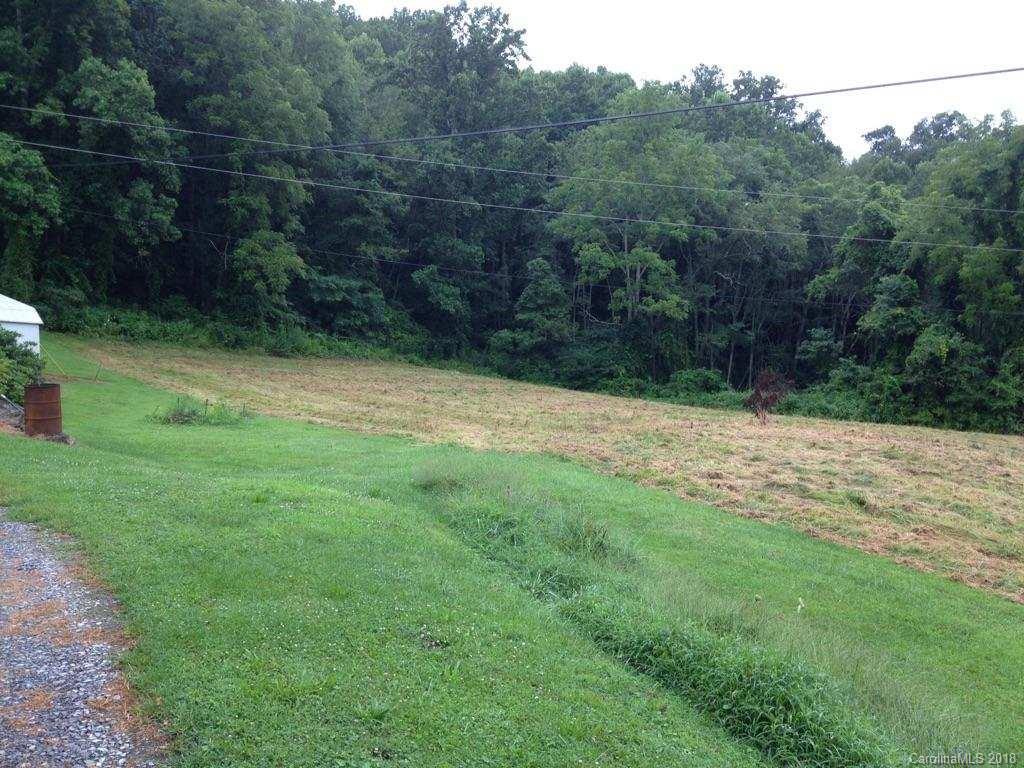 9999 Wilson Cove Road Canton, NC 28716 - Photo 19 of 21