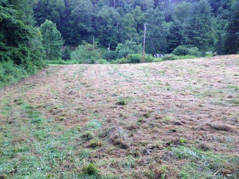 9999 Wilson Cove Road Canton, NC 28716 - Photo 20 of 21