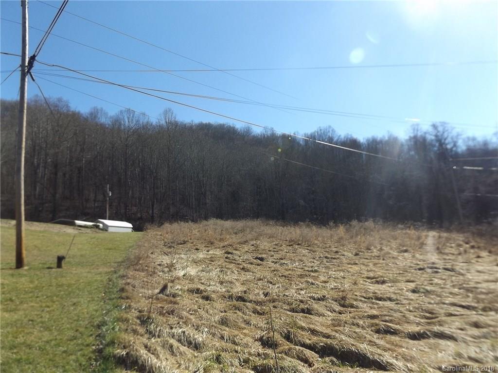 9999 Wilson Cove Road Canton, NC 28716 - Photo 3 of 21
