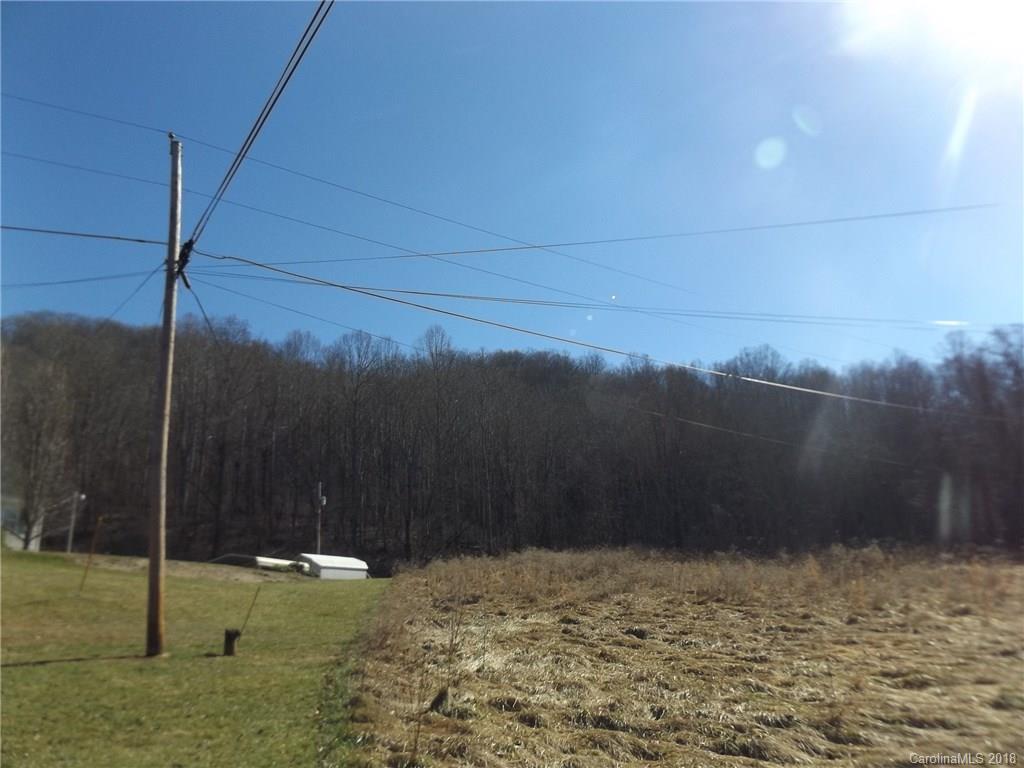 9999 Wilson Cove Road Canton, NC 28716 - Photo 5 of 21