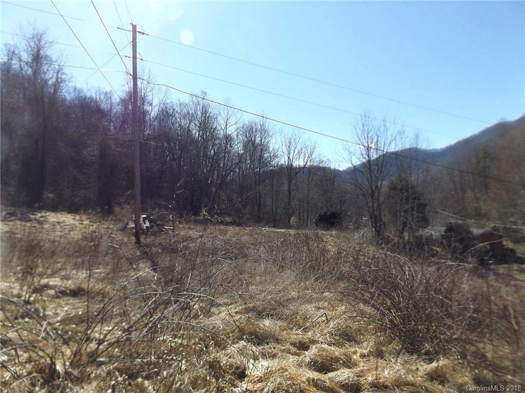 9999 Wilson Cove Road Canton, NC 28716 - Photo 6 of 21