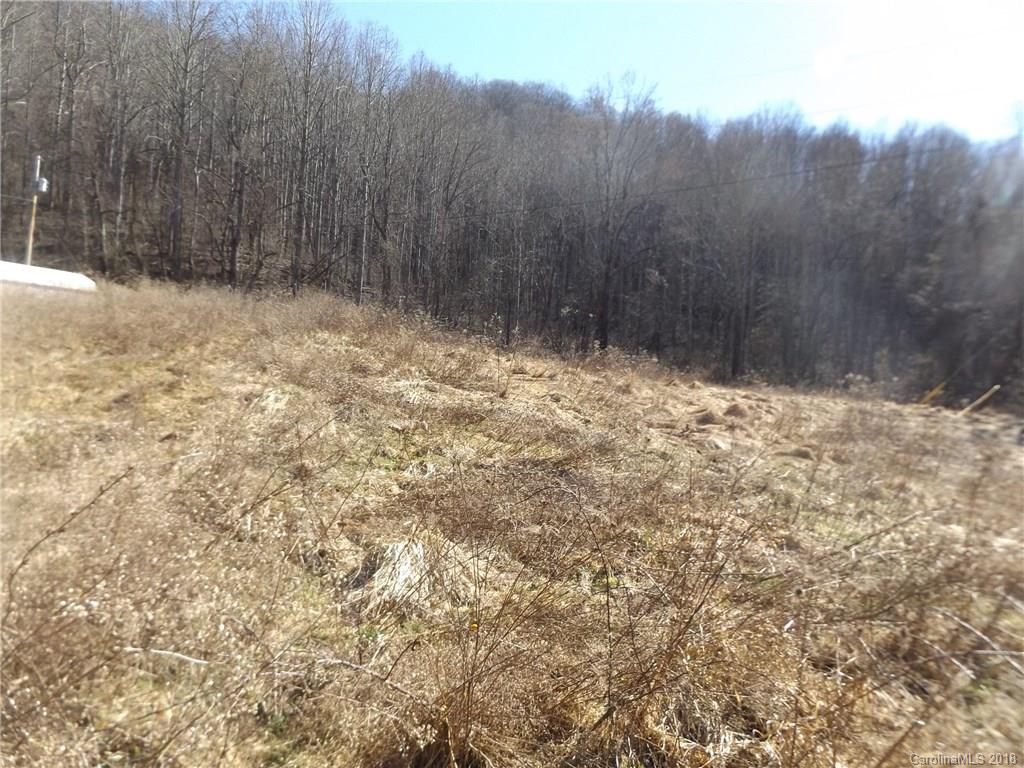 9999 Wilson Cove Road Canton, NC 28716 - Photo 7 of 21