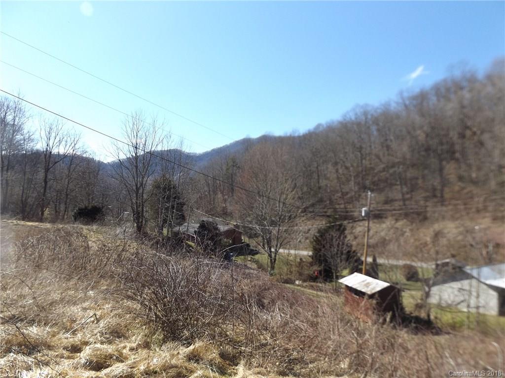 9999 Wilson Cove Road Canton, NC 28716 - Photo 8 of 21