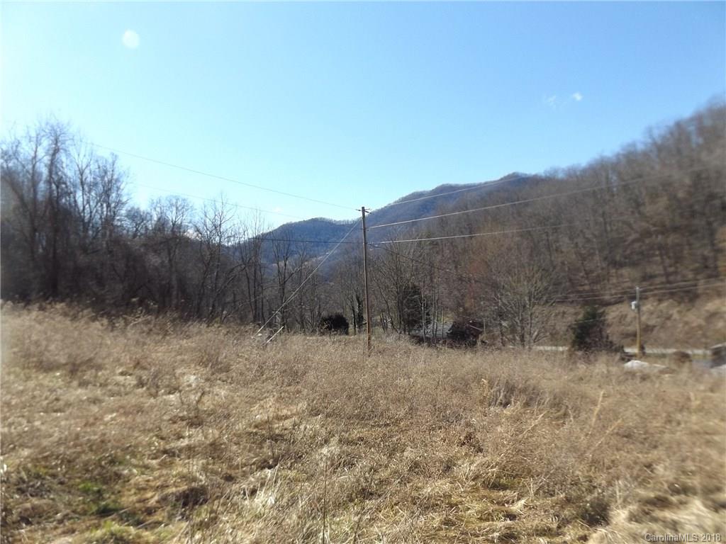 9999 Wilson Cove Road Canton, NC 28716 - Photo 10 of 21