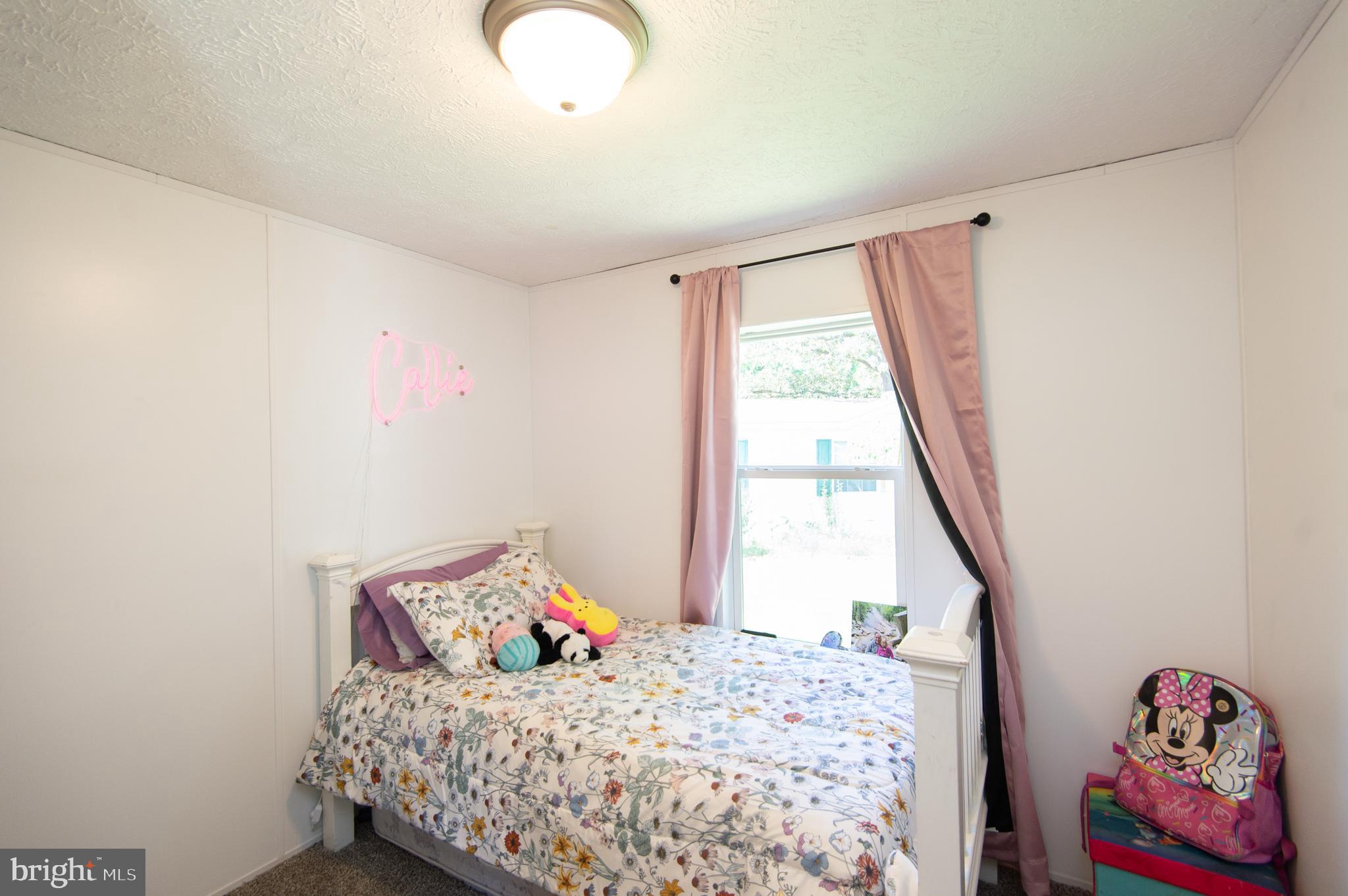 21182 Marsh Creek Road Preston, MD 21655 - Photo 11 of 20