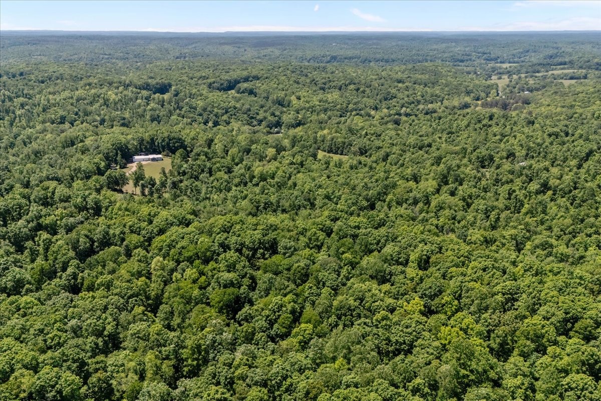 254 Shiloh Hollow Road Erin, TN 37061 - Photo 50 of 63