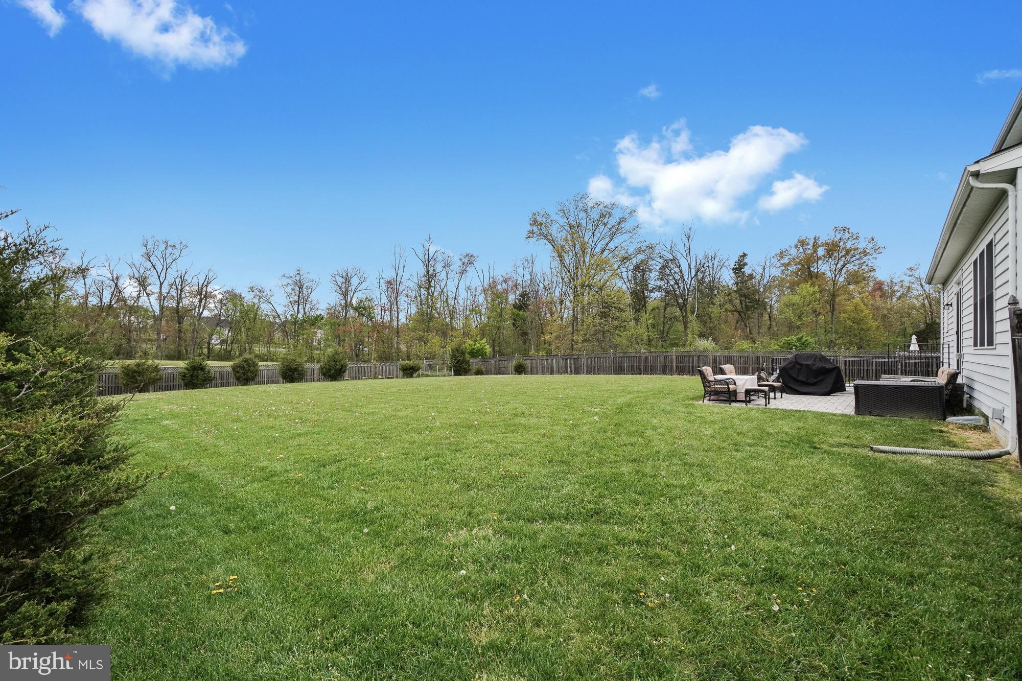 20220 McNamara Road Poolesville, MD 20837 - Photo 7 of 61 Flat, level, and backing to woods