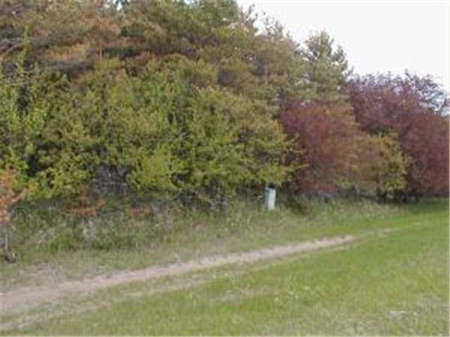 440 440th Perham, MN 56573 - Photo 2 of 2 Gallery Image 2