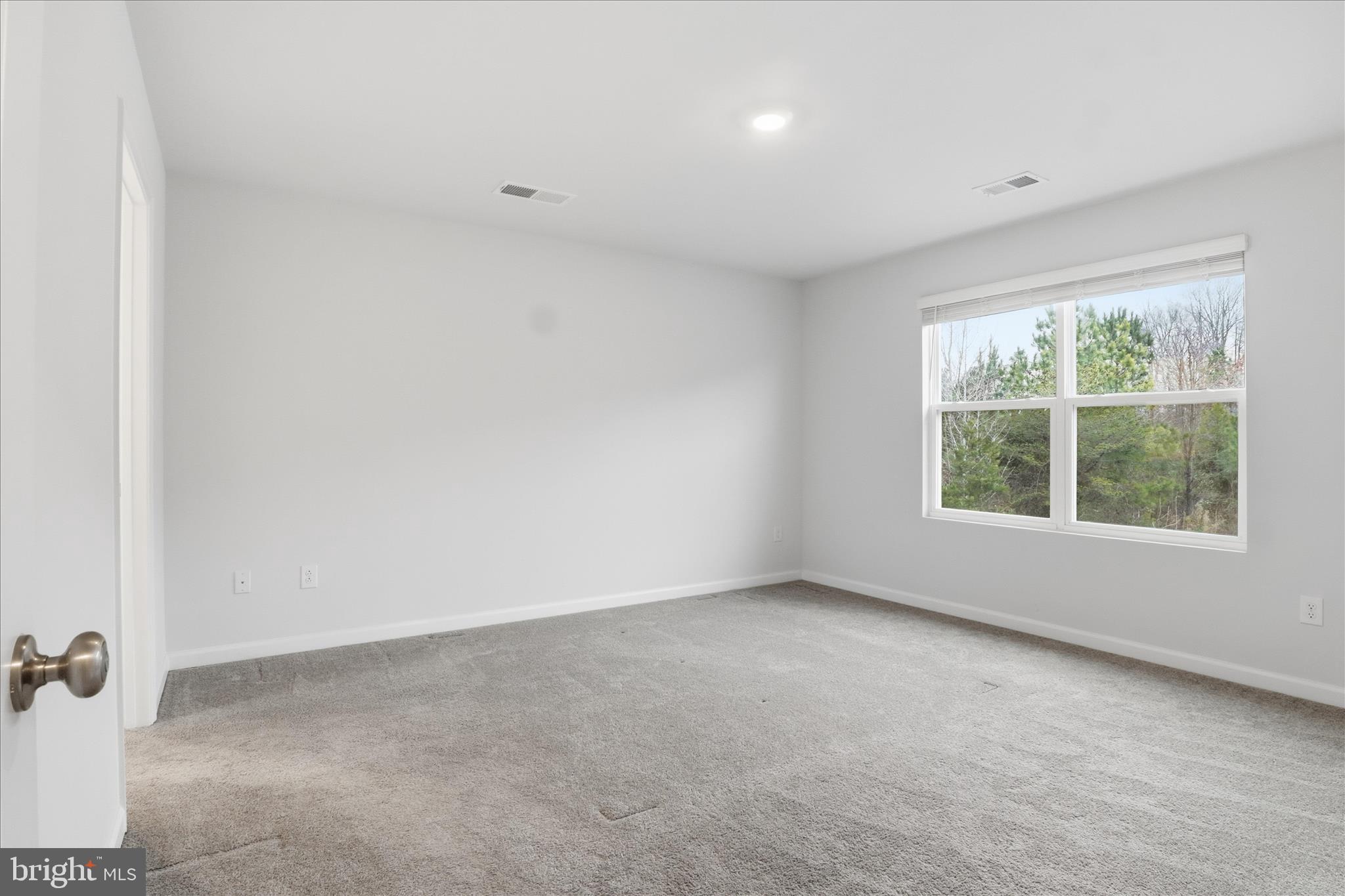 6619 Sacagawea Street Ruther Glen, VA 22546 - Photo 19 of 58 Primary bedroom