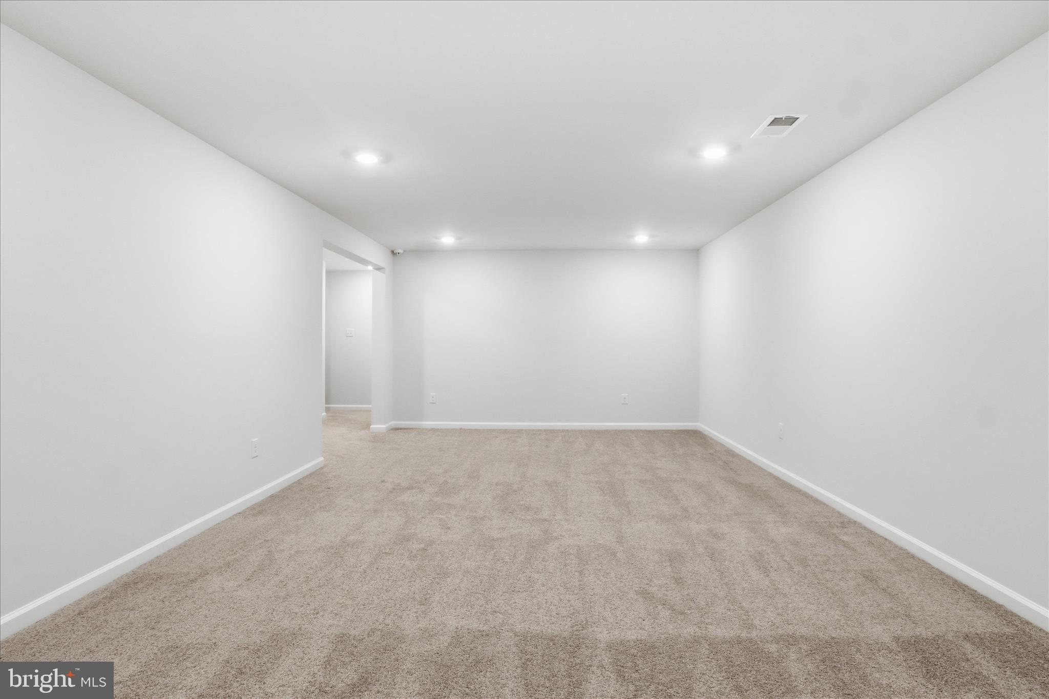 6619 Sacagawea Street Ruther Glen, VA 22546 - Photo 29 of 58 Basement