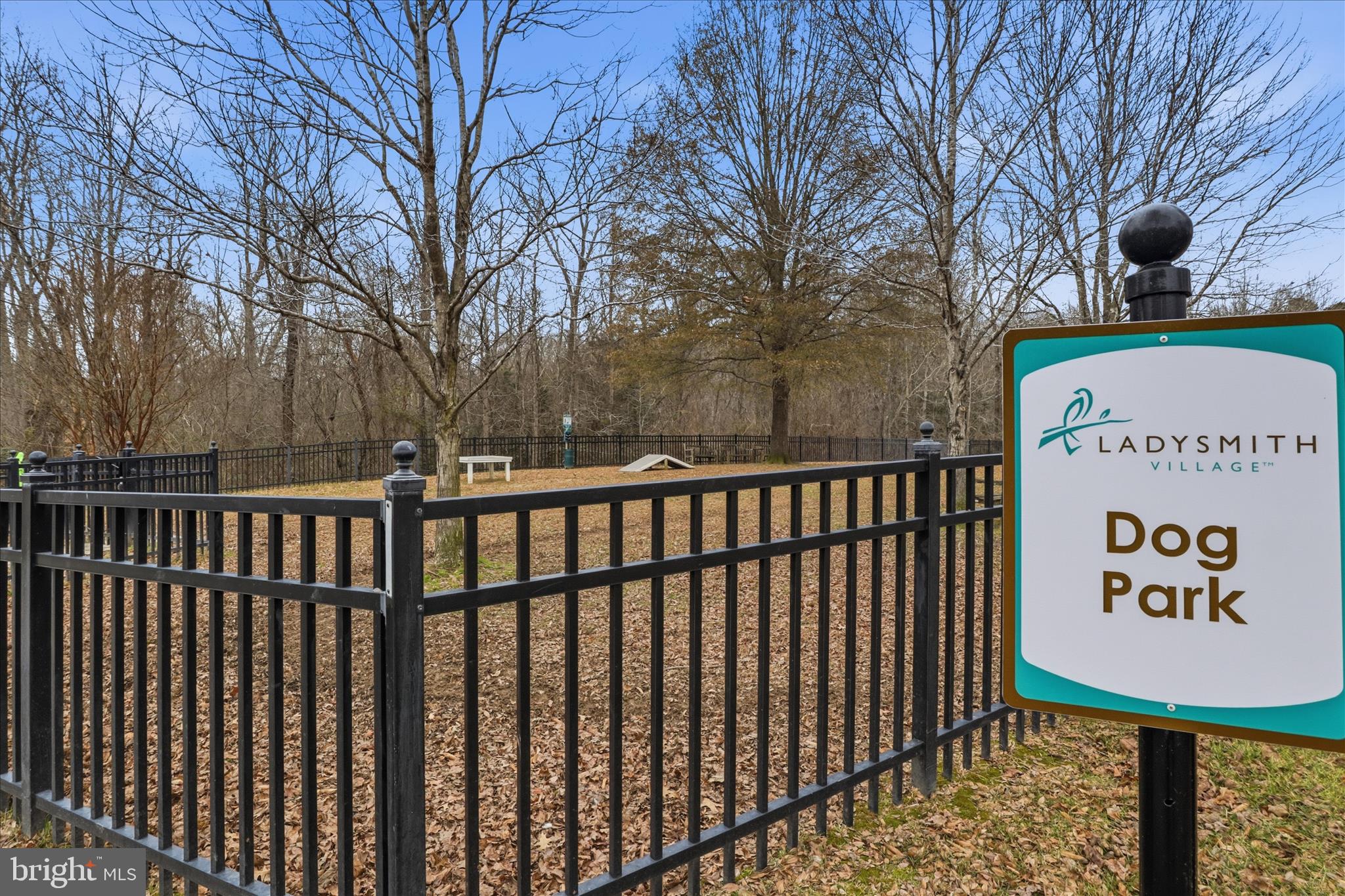 6619 Sacagawea Street Ruther Glen, VA 22546 - Photo 44 of 55