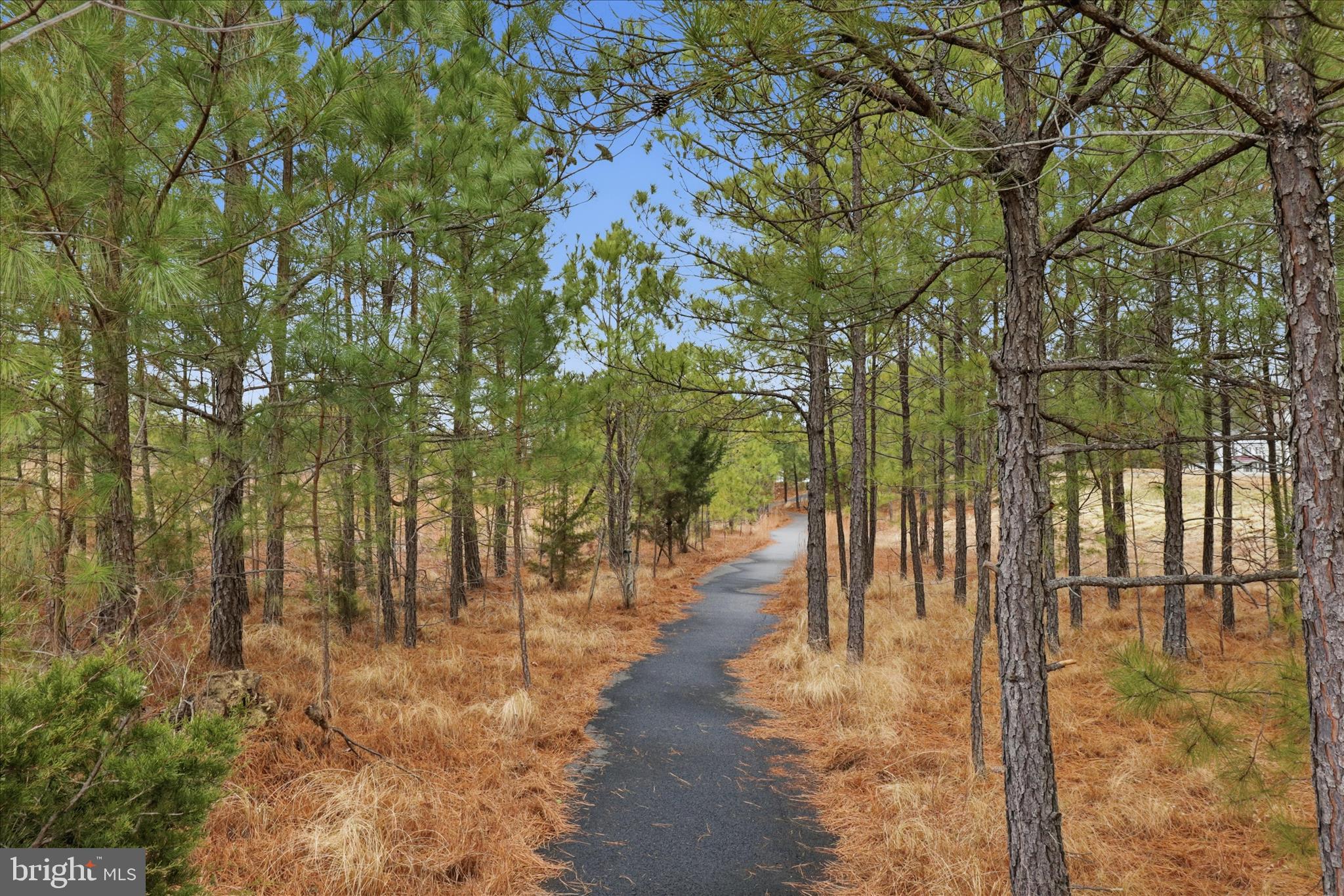6619 Sacagawea Street Ruther Glen, VA 22546 - Photo 46 of 58