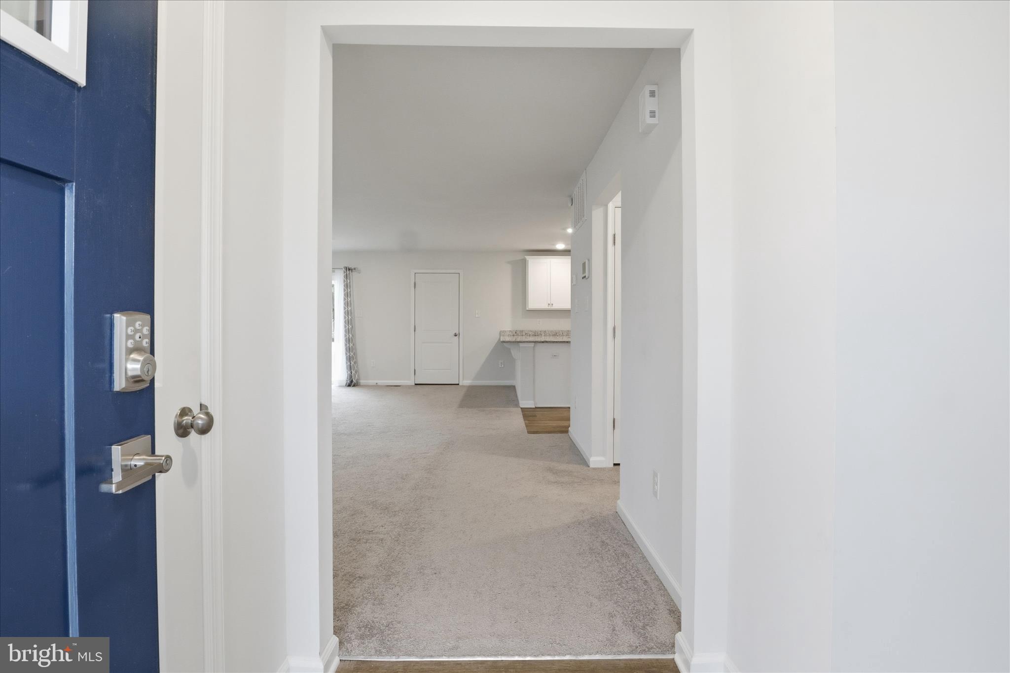 6619 Sacagawea Street Ruther Glen, VA 22546 - Photo 5 of 58 Front door entry area