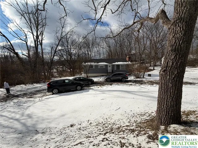 a view of a yard with a tree