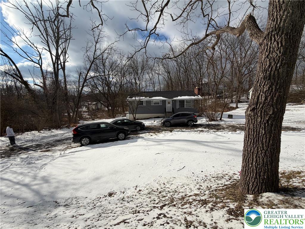 162 Independence Road East Stroudsburg, PA 18301 - Photo 3 of 24 a view of a yard with a tree