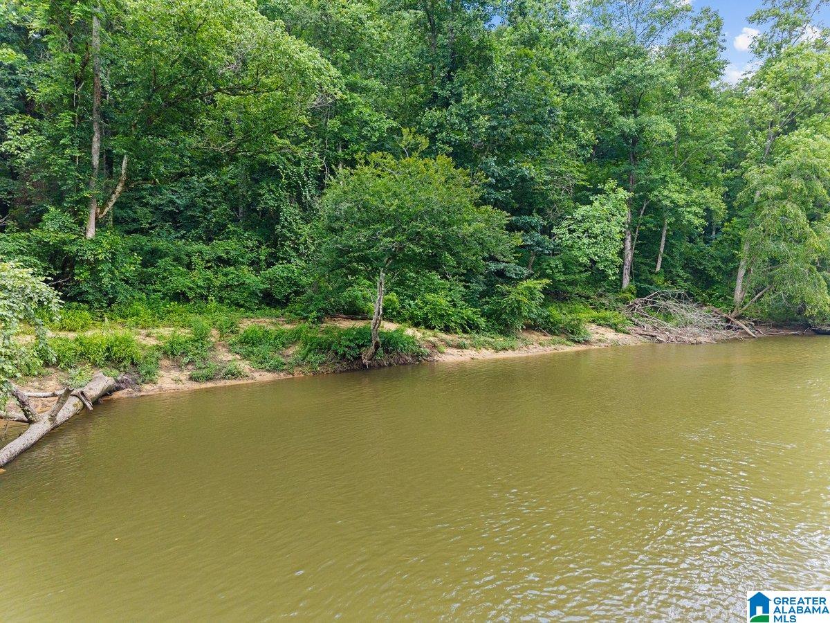 2040 Bud Mountain Road Blountsville, AL 35031 - Photo 31 of 47