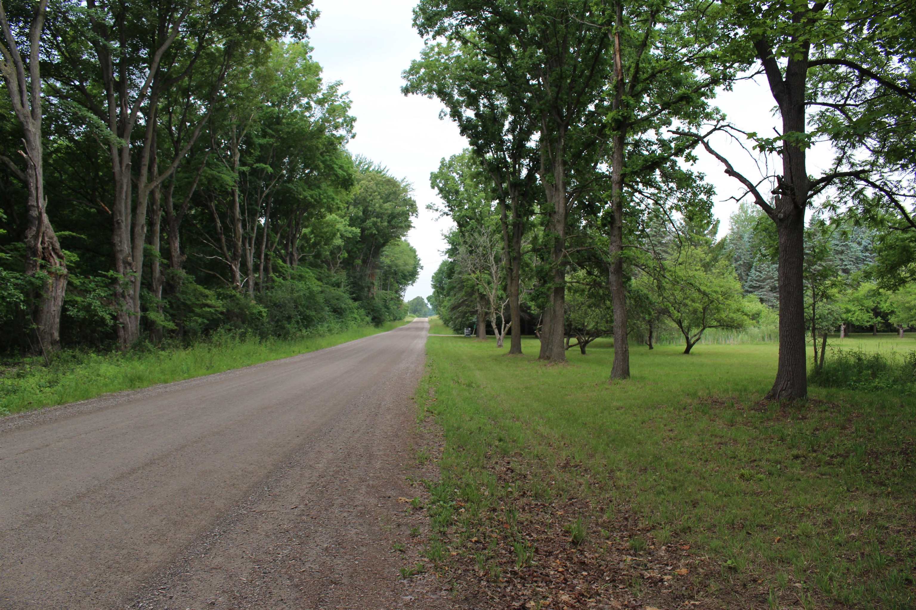 10190 Jeddo Road Avoca, MI 48006 - Photo 63 of 68 50114159-62.JPG