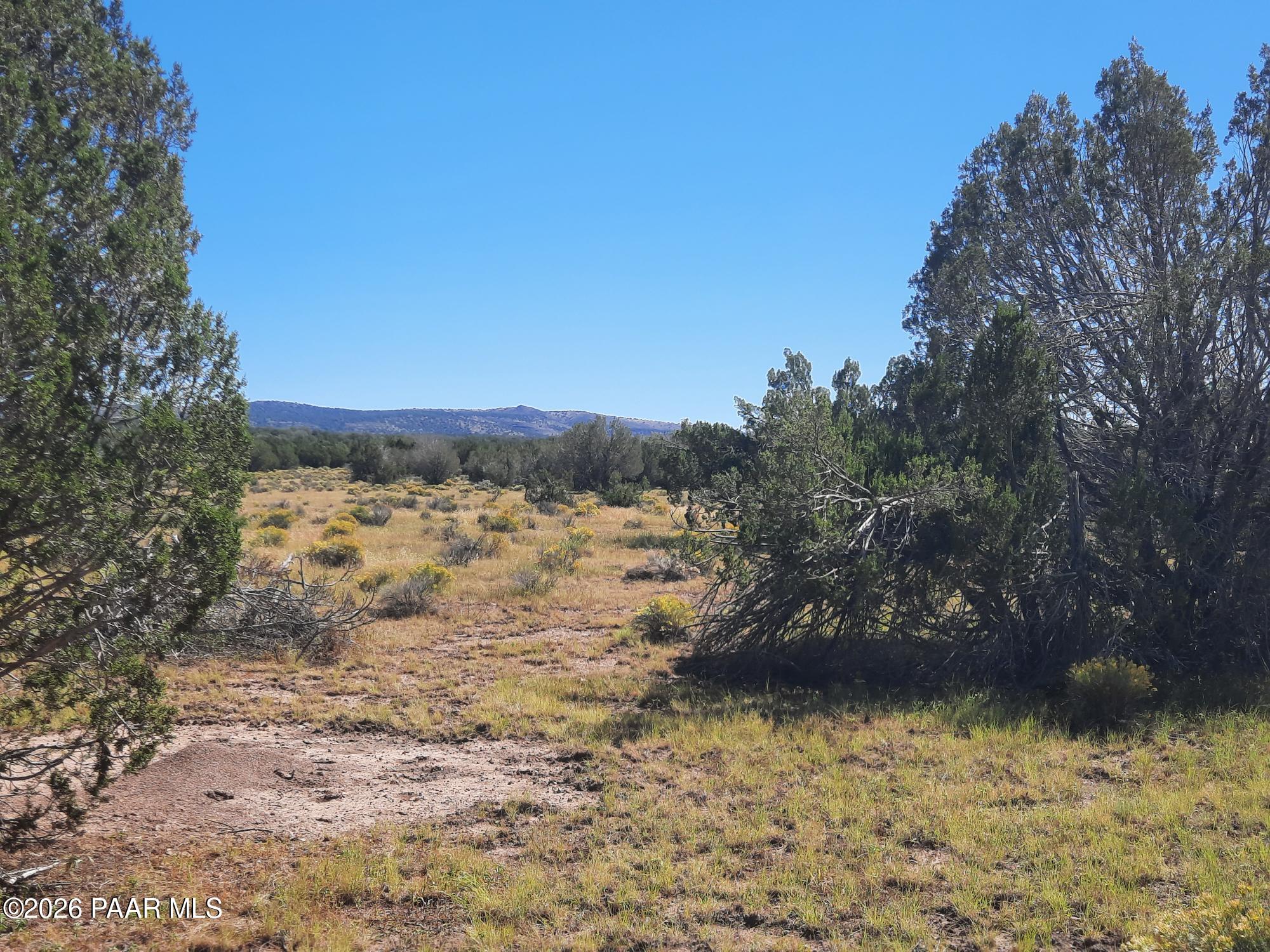 Lot 1371 Last Chance Road Seligman, AZ 86337 - Photo 12 of 20 20261001_112814